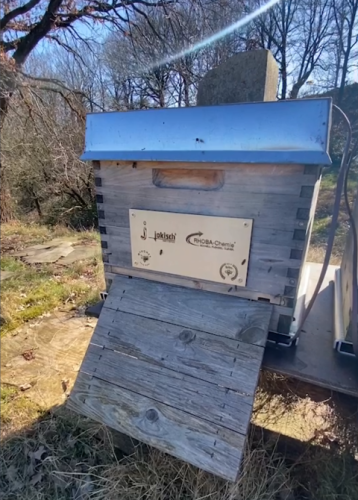 Jokisch Bienenstock