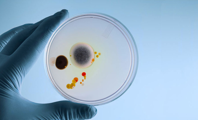 Umgang mit Bioziden  in Kühlschmierstoffen